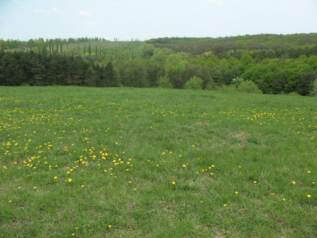 Хмельницький з panoramio.com (ч.13) - Хмельницкий