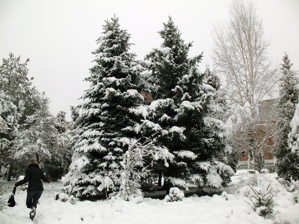 Рівне з panoramio.com (ч.5) - Рівне