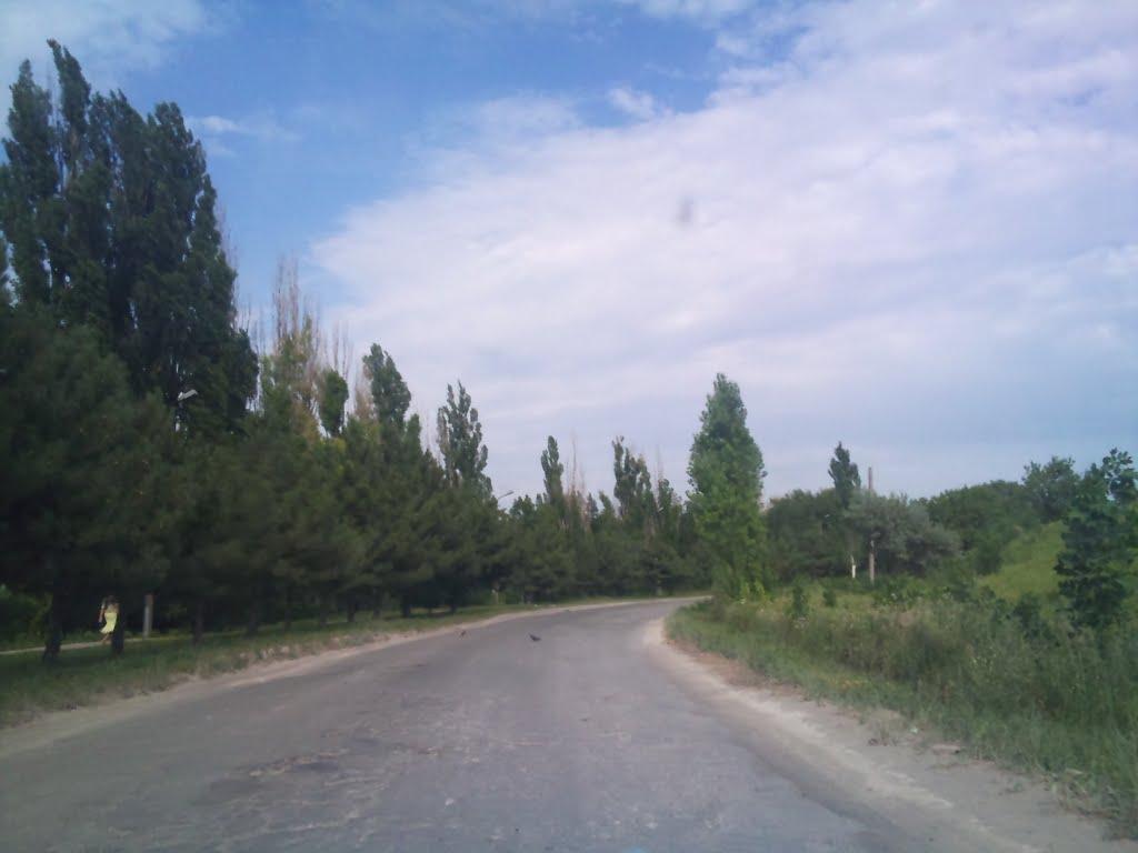 Новоамвросіївське з panoramio.com - Новоамвросиевское