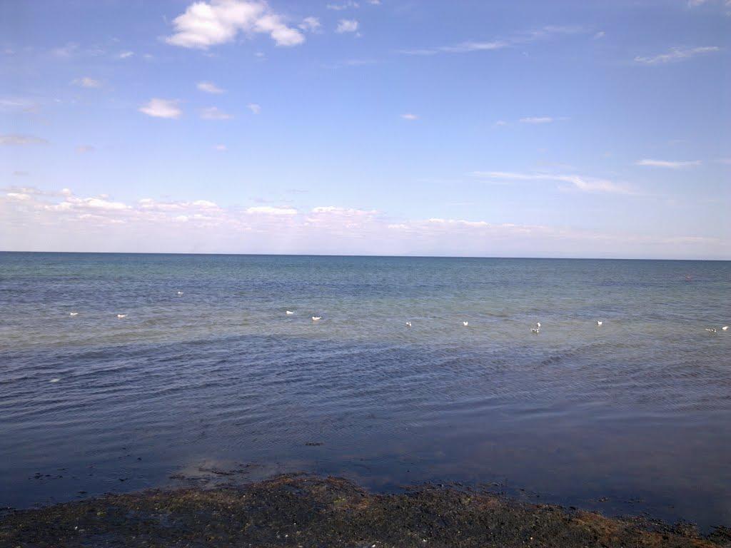 Заозерне з panoramio.com - Заозерне