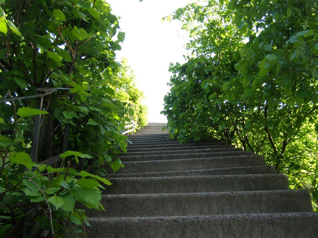 Новомосковськ з panoramio.com (ч.3) - Новомосковськ