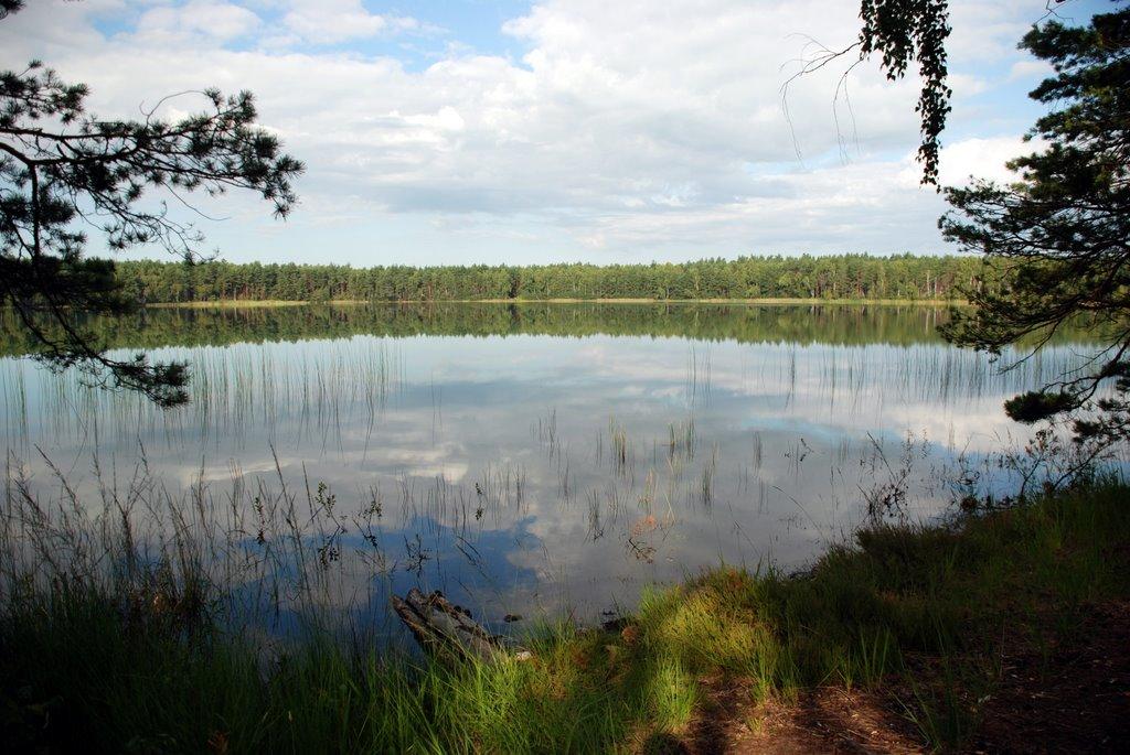 Острівськ з panoramio.com - Островск