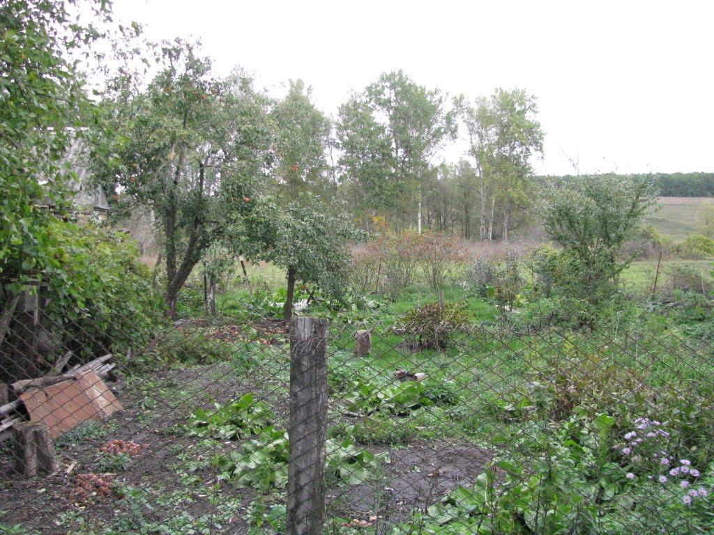 П'ятницьке з panoramio.com - П'ятницьке