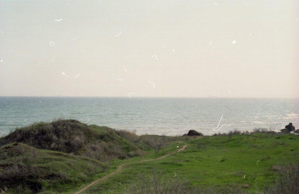 Фонтанка з panoramio.com - Фонтанка