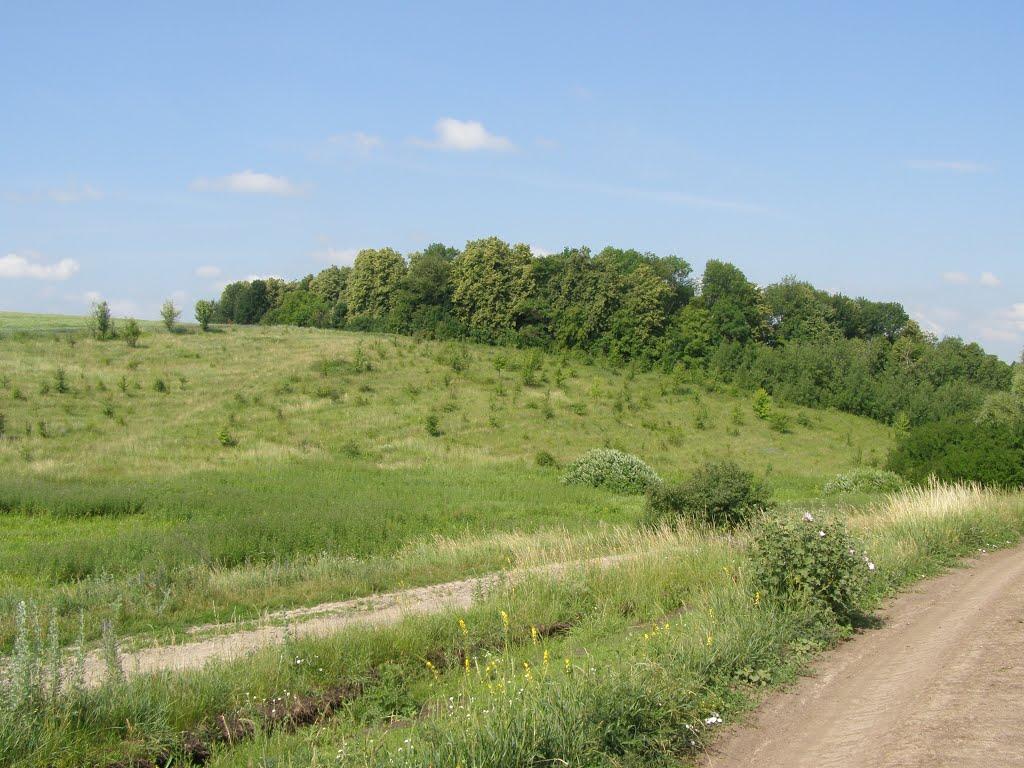 Сатанівка з panoramio.com - Сатанівка