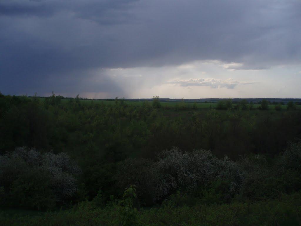 Солгутове з panoramio.com - Солгутове