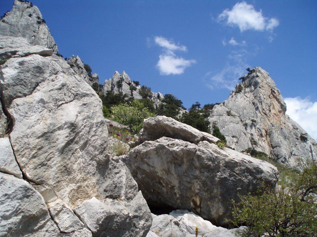 Голуба Затока з panoramio.com (ч.2) - Голуба Затока