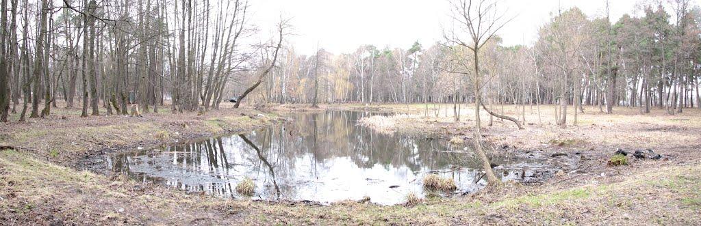 Шепетівка з panoramio.com (ч.2) - Шепетівка