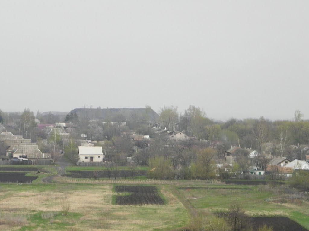 Великокам'янка з panoramio.com - Великокам'янка