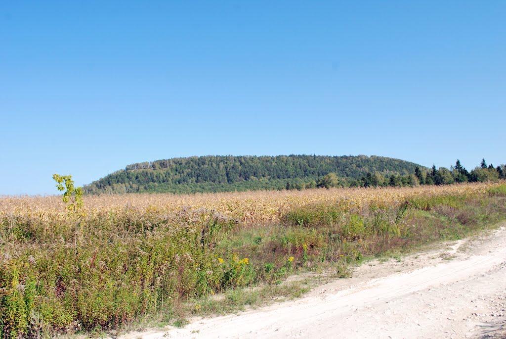 Куликів з panoramio.com - Куликів