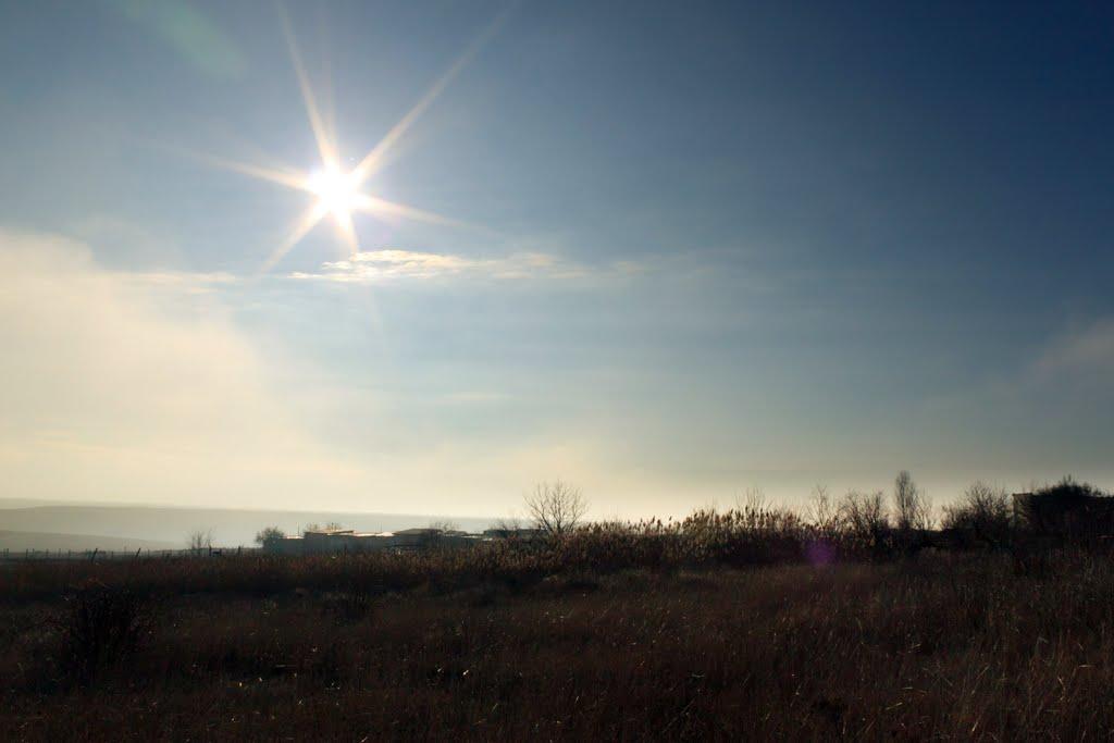 Шкільне з panoramio.com - Шкільне