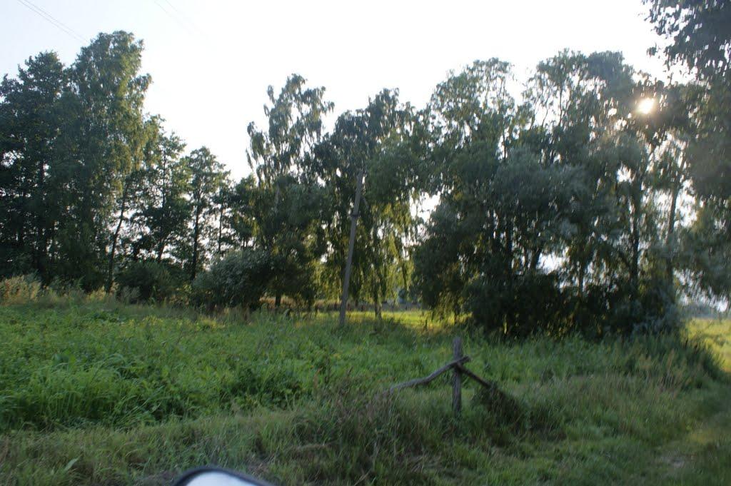 Лебедівка з panoramio.com - Лебедівка