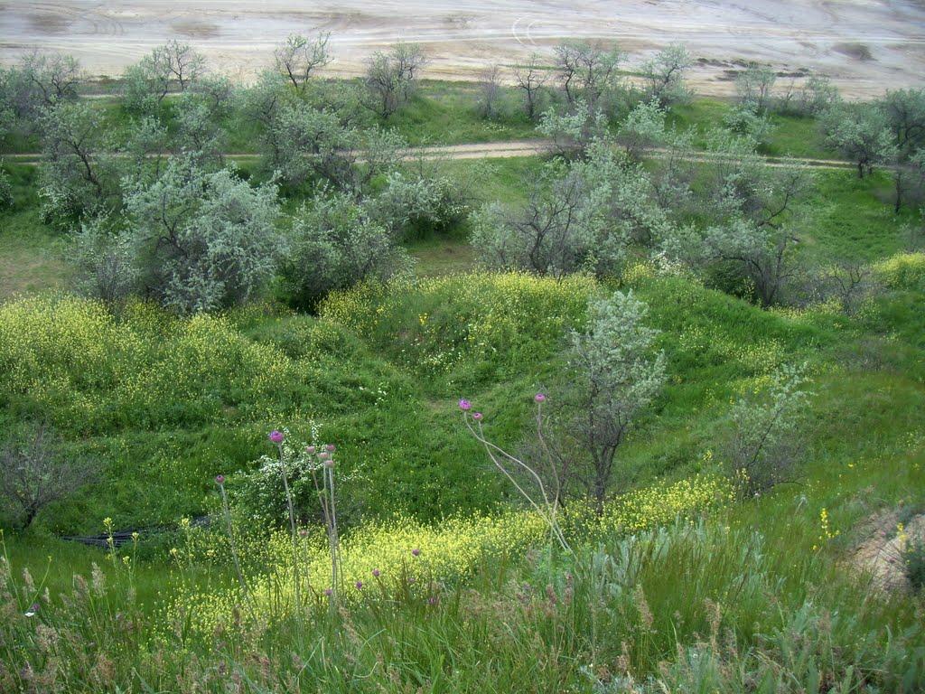 Красносілка з panoramio.com - Красносілка