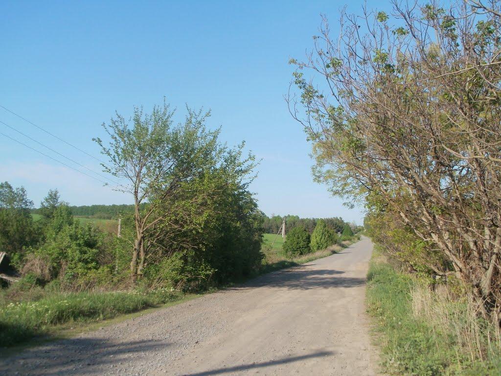 Млинки з panoramio.com - Млынки
