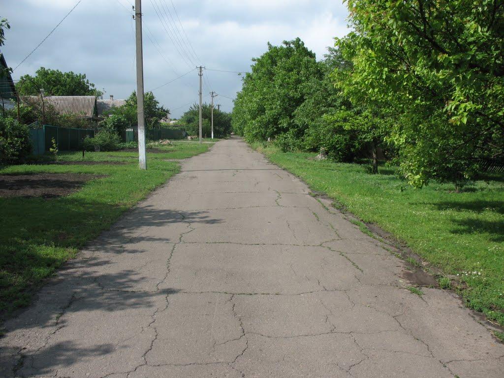 Іллічівське з panoramio.com - Іллічівське