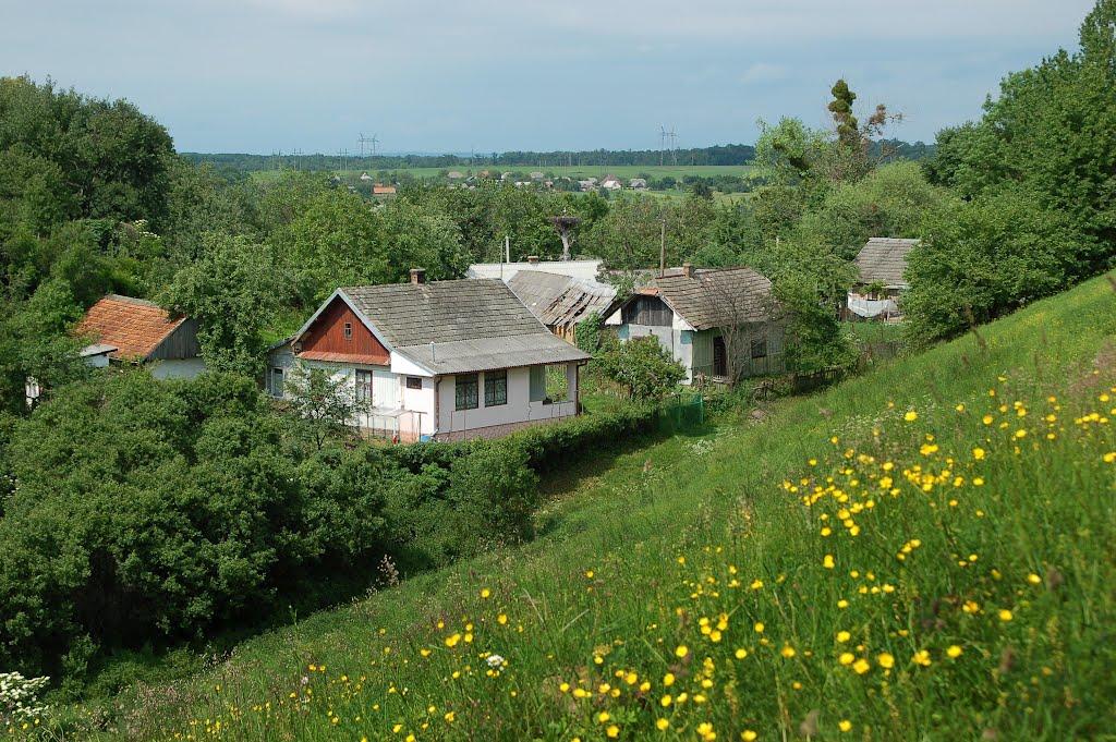 Демидів з panoramio.com - Демидів