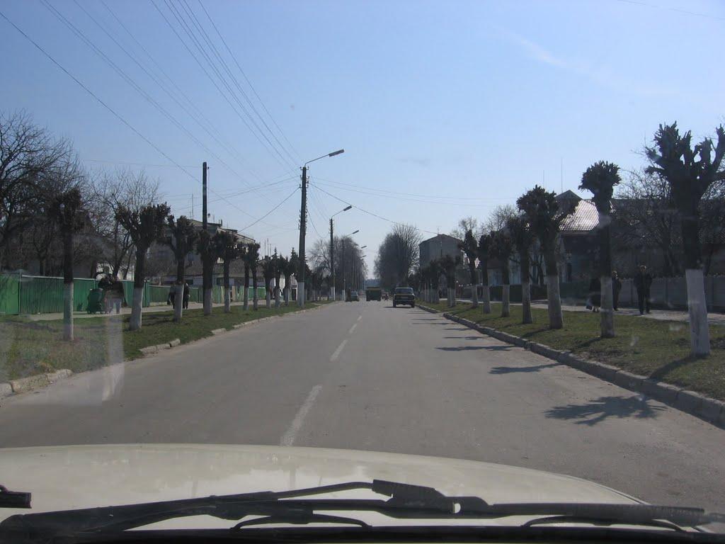 Сквира з panoramio.com - Сквира