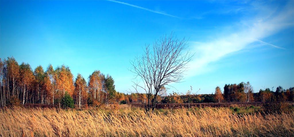 Тростянець з panoramio.com - Тростянець