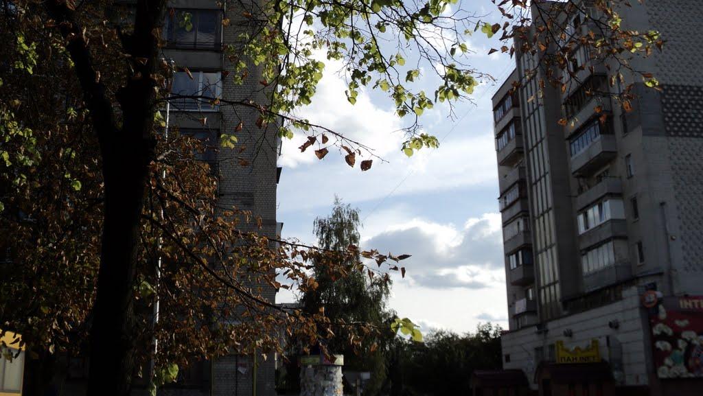 Вишневе з panoramio.com - Вишневе