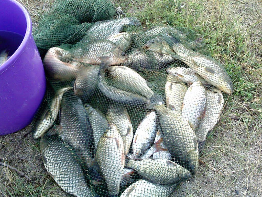 Якимівське з panoramio.com - Якимівське