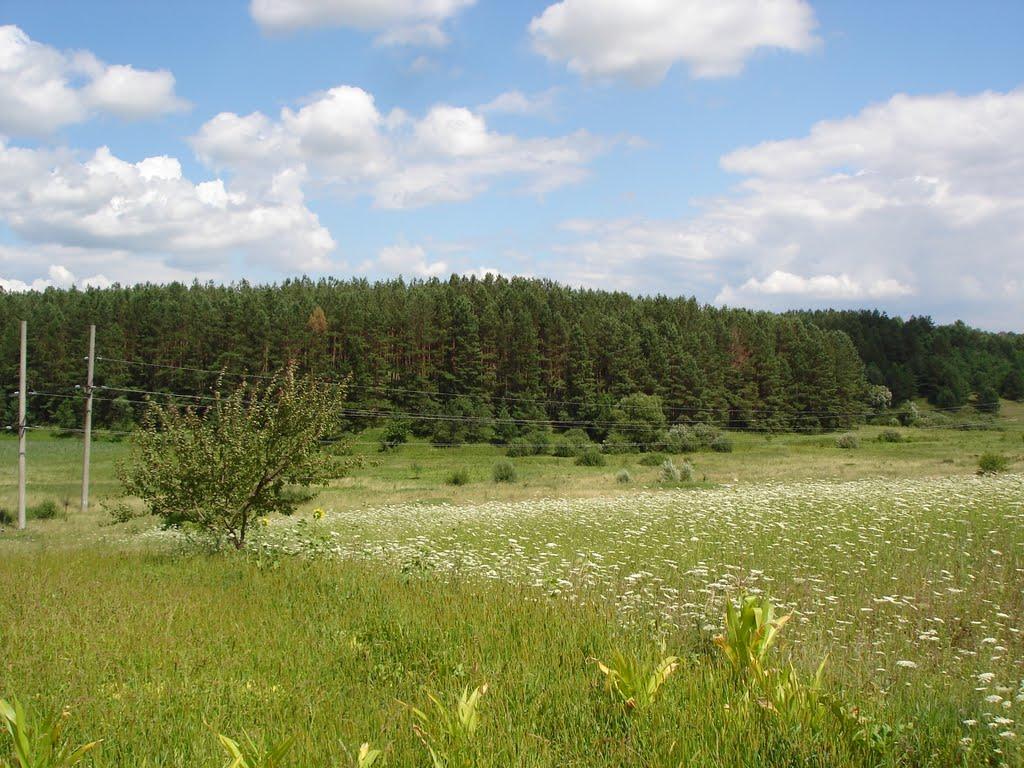 Музичі з panoramio.com - Музичі