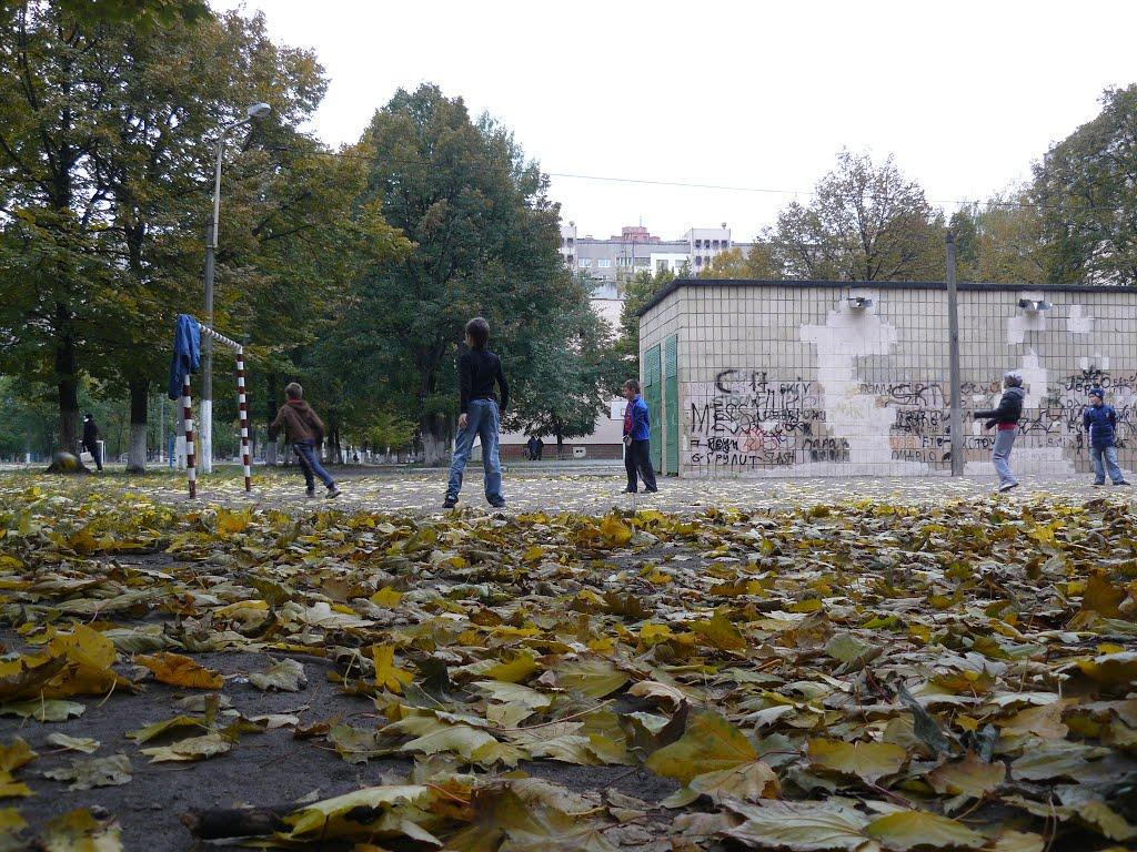 Коцюбинське з panoramio.com (ч.3) - Коцюбинське