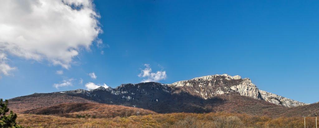 Лаванда з panoramio.com (ч.2) - Лаванда