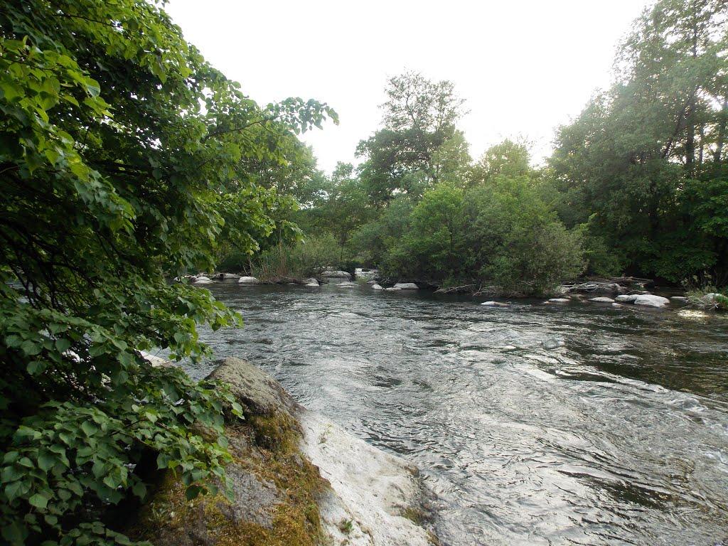 Дмитренки з panoramio.com - Дмитренки