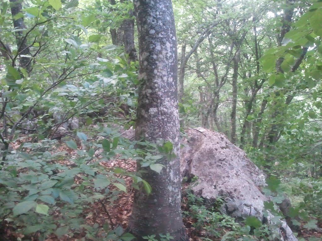 Охотниче з panoramio.com (ч.3) - Охотниче