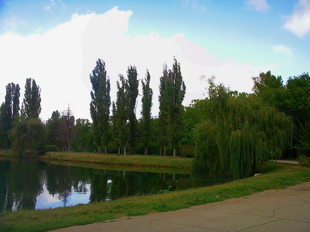 Сімферополь з panoramio.com (ч.13) - Симферополь