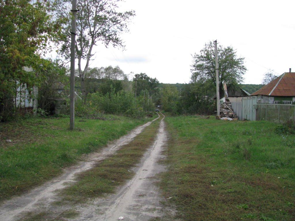 П'ятницьке з panoramio.com - П'ятницьке