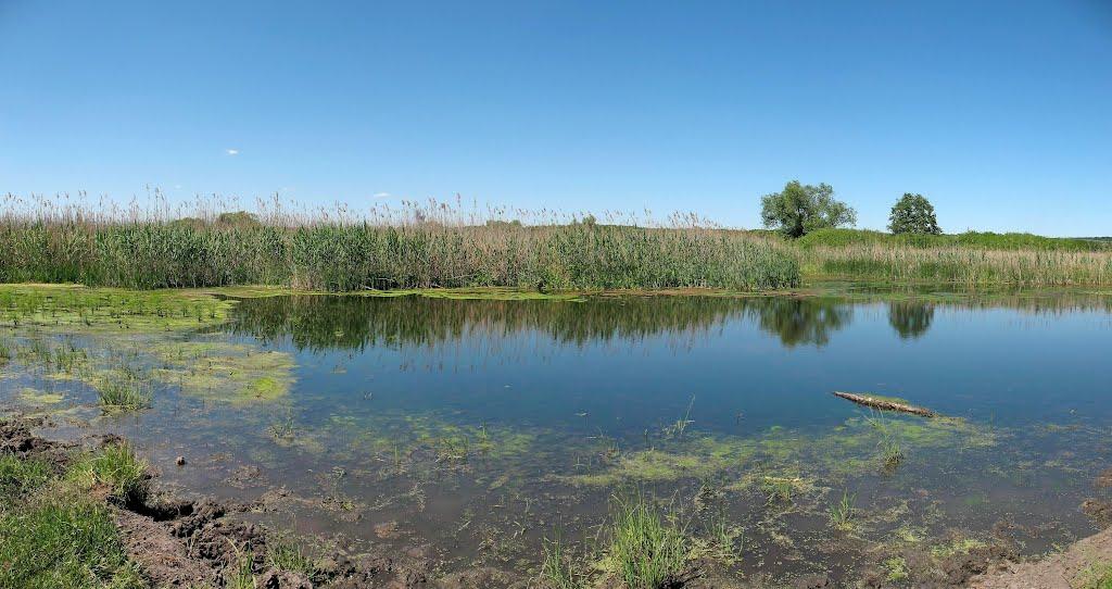 Косарі з panoramio.com (ч.2) - Косарі