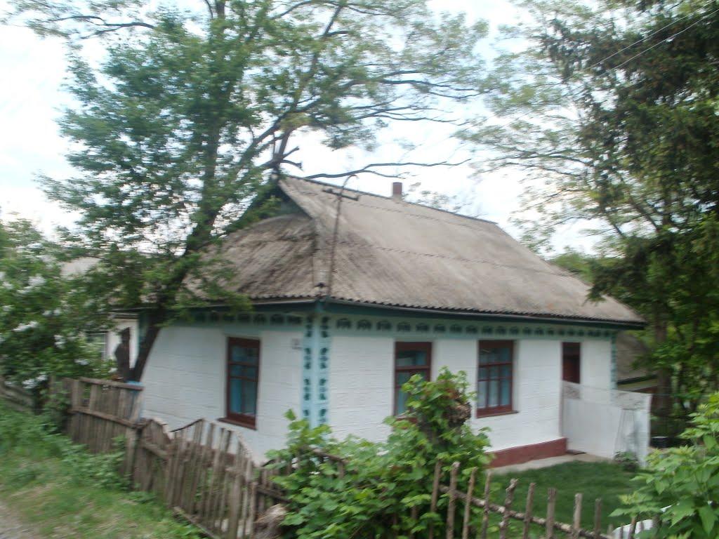 Теплик з panoramio.com - Теплик