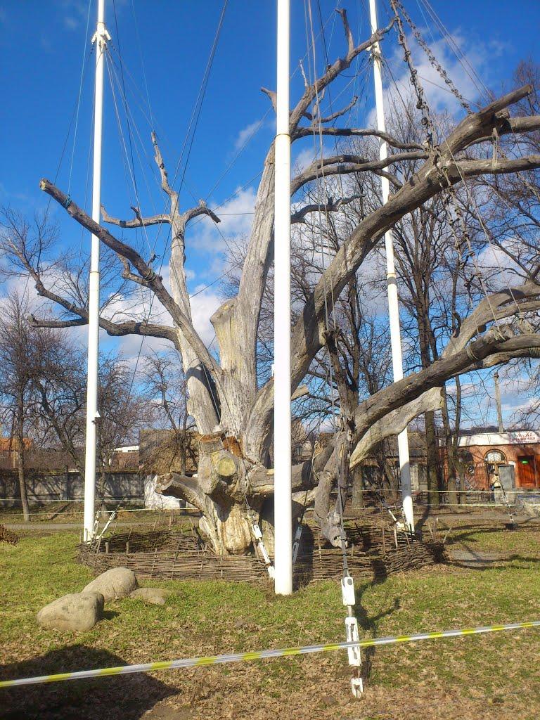 Високогірне з panoramio.com - Високогірне