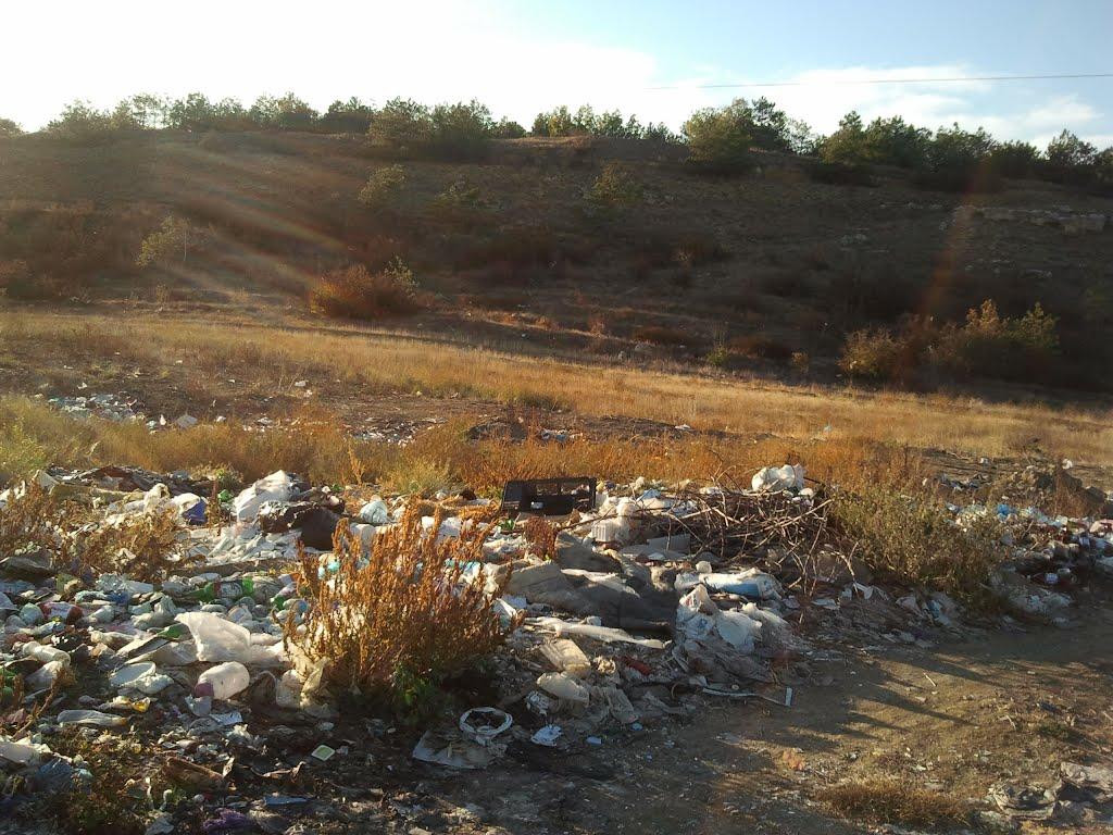 Некрасовка з panoramio.com - Некрасовка