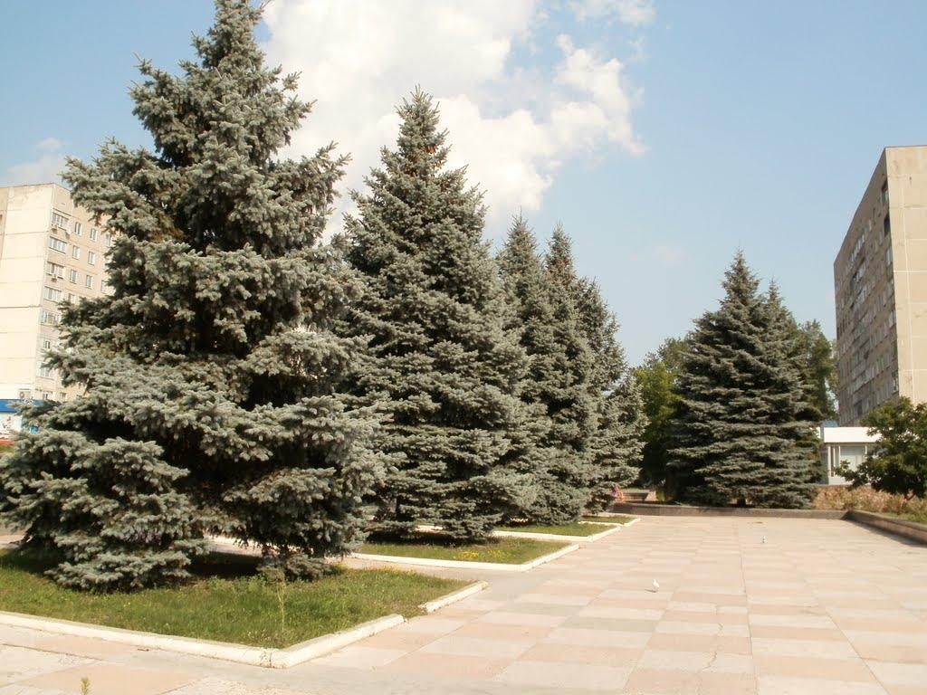 Костянтинівка з panoramio.com - Костянтинівка