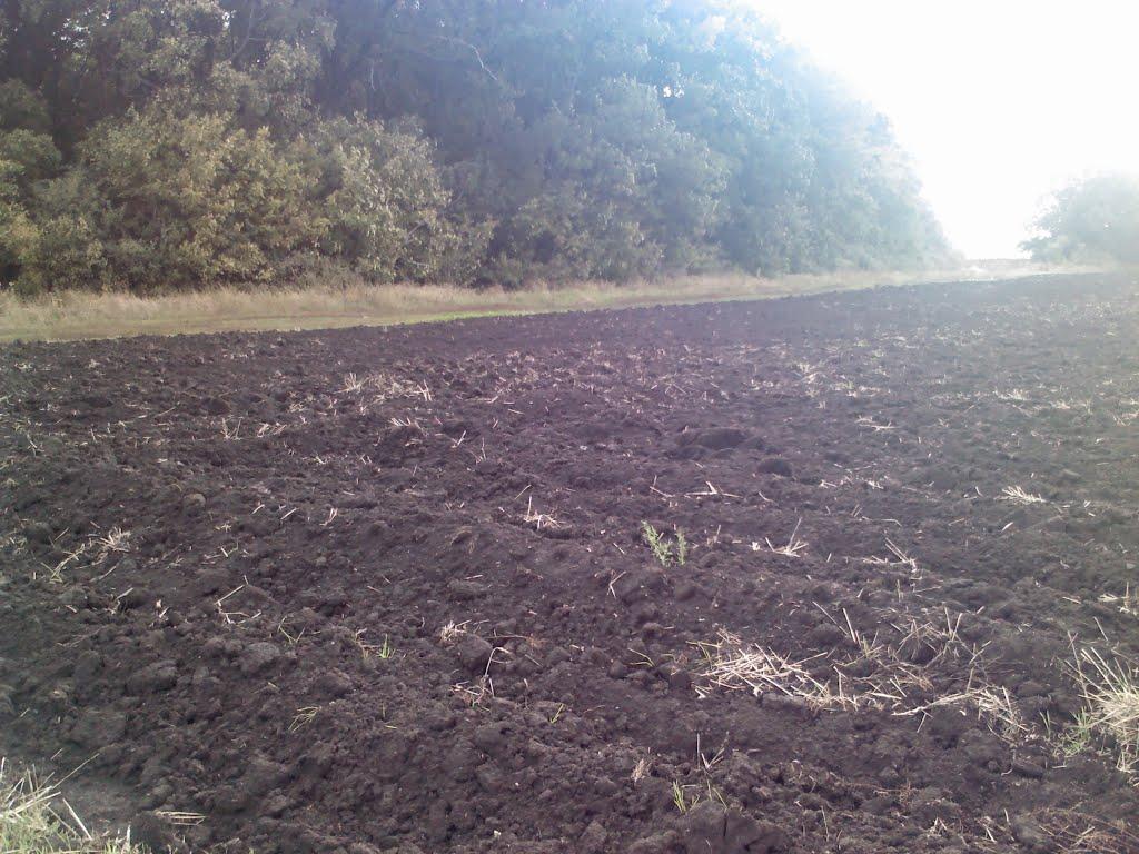 Стара Водолага з panoramio.com - Стара Водолага