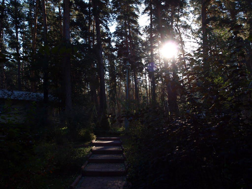 Студенок з panoramio.com - Студенок