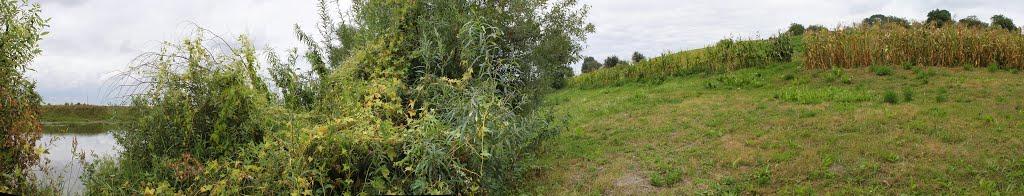 Воскодави з panoramio.com - Воскодави