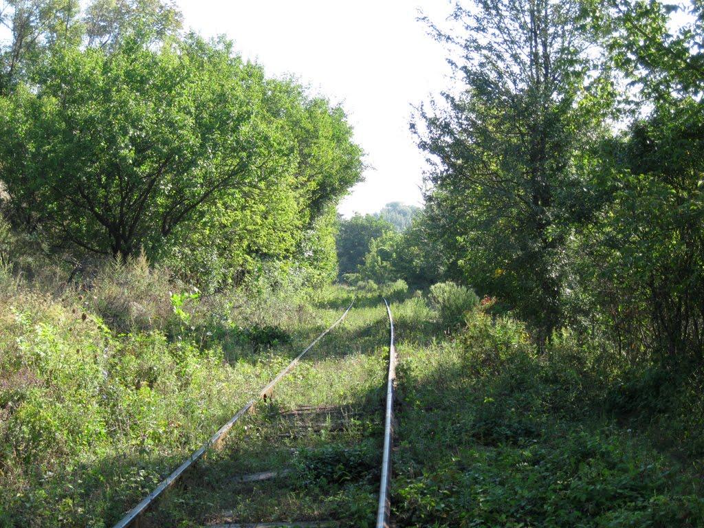 Лисичанськ з panoramio.com (ч.3) - Лисичанськ