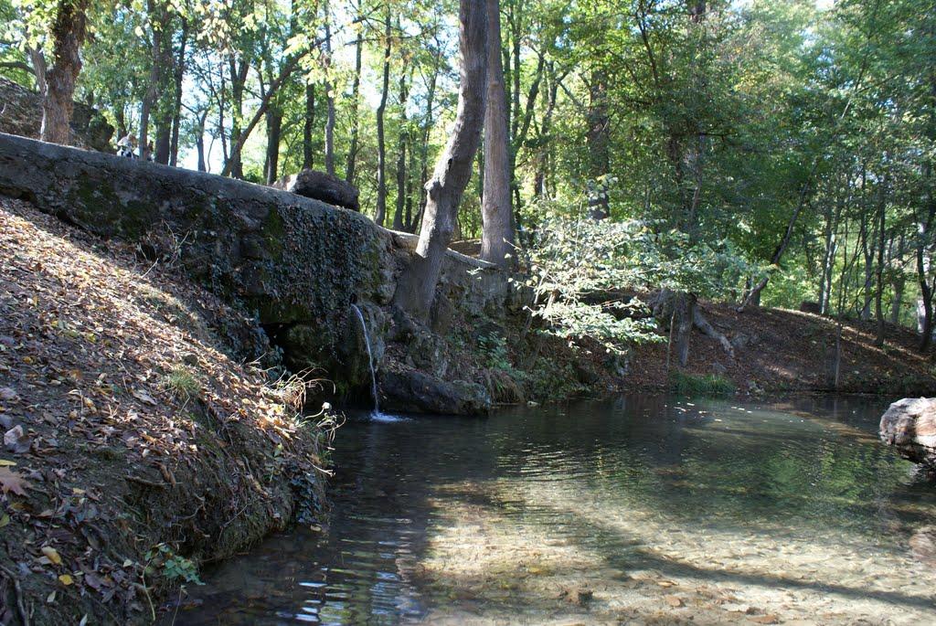 Лікарственне з panoramio.com - Likarstvenne