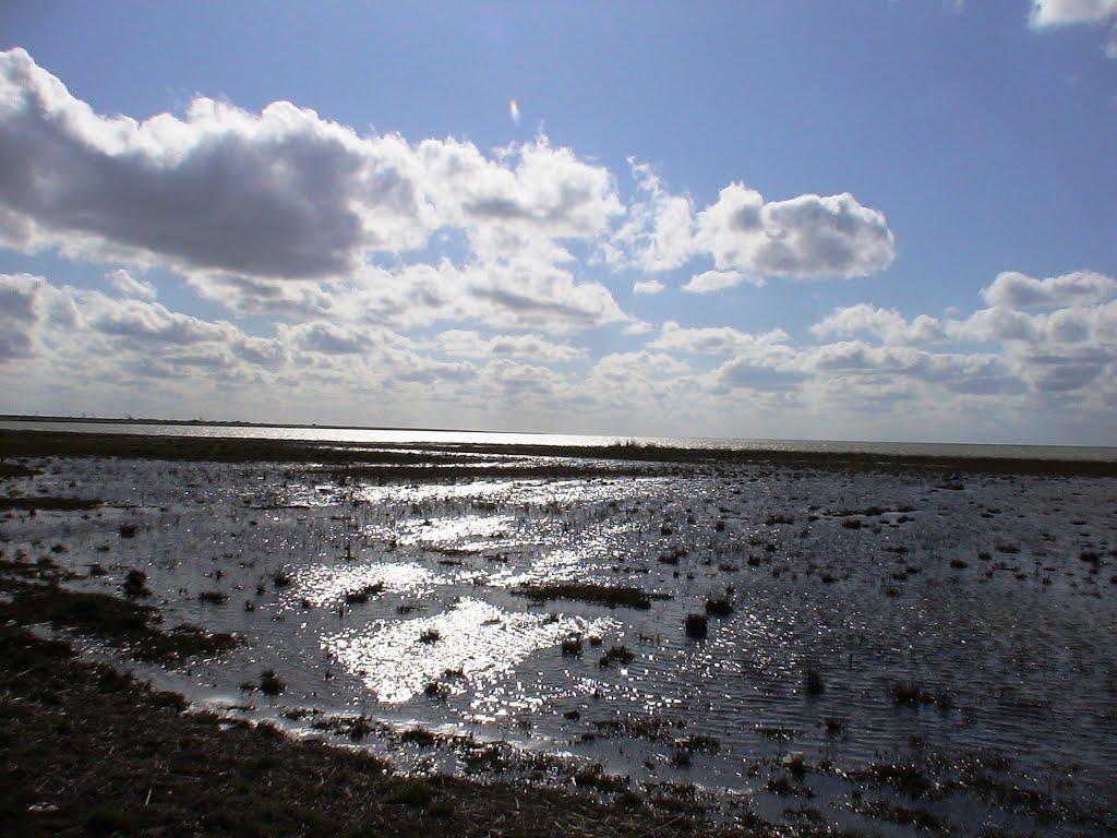 Роздольне з panoramio.com - Роздольне