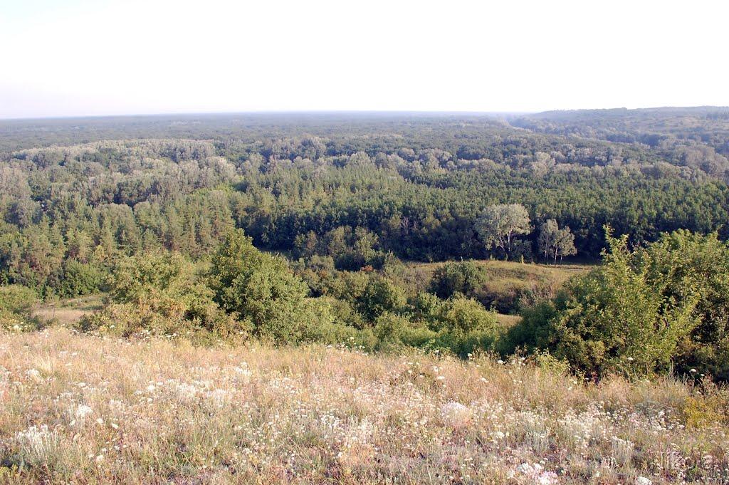 Шипилівка з panoramio.com - Shypylivka