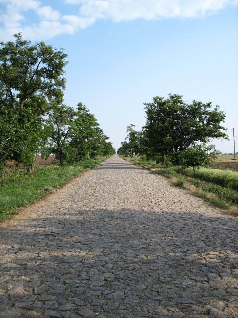 Перекоп з panoramio.com - Перекоп