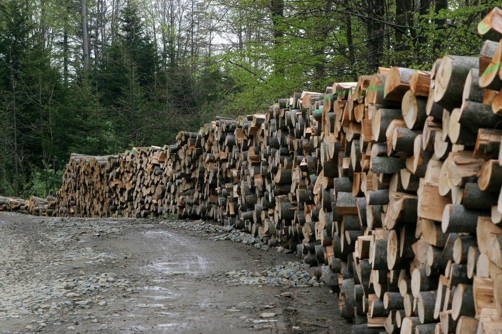 Боберка з panoramio.com - Боберка