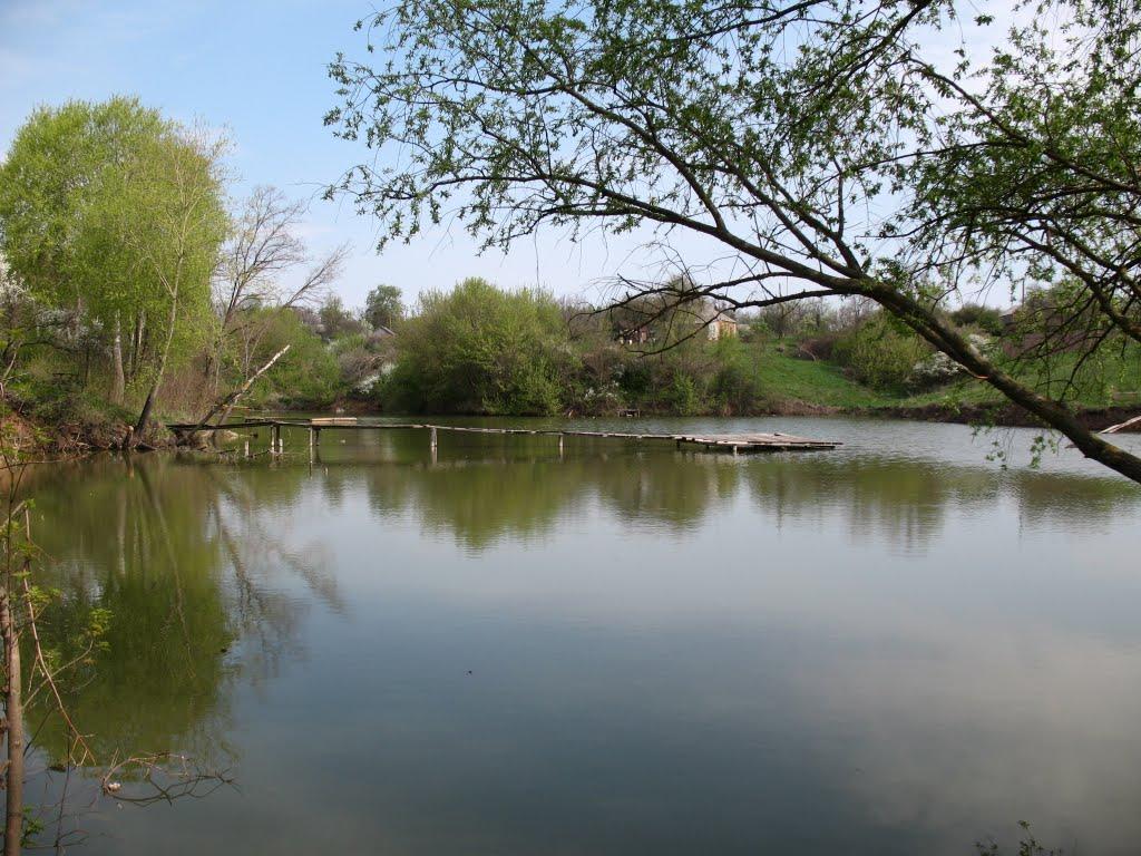 Заїченці з panoramio.com - Заїченці