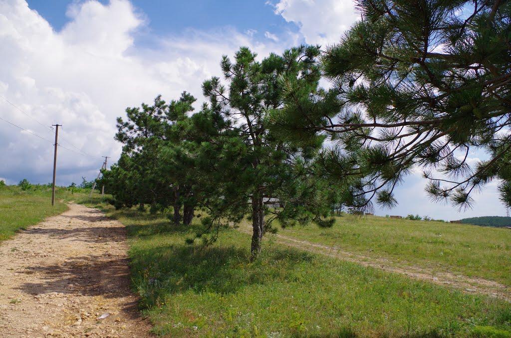 Сімферополь з panoramio.com (ч.13) - Simferopol