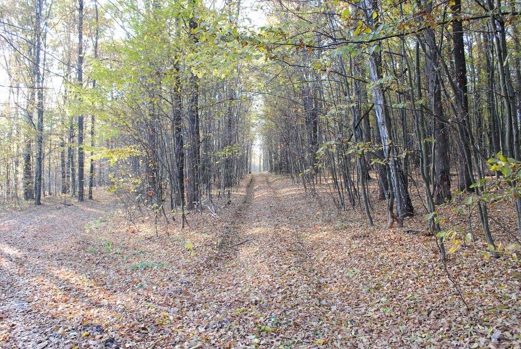 Стара Гута з panoramio.com - Старая Гута