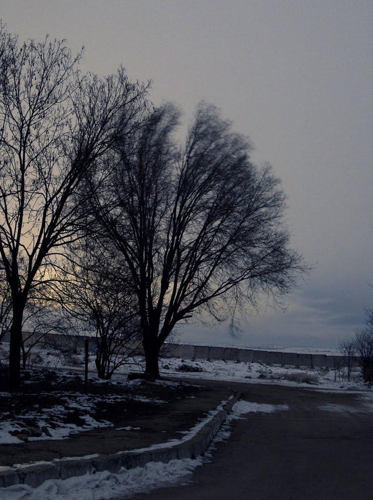 Шкільне з panoramio.com - Шкільне