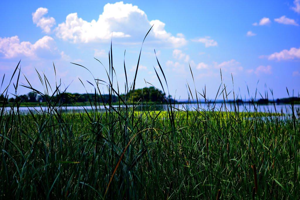 Келеберда з panoramio.com - Келеберда